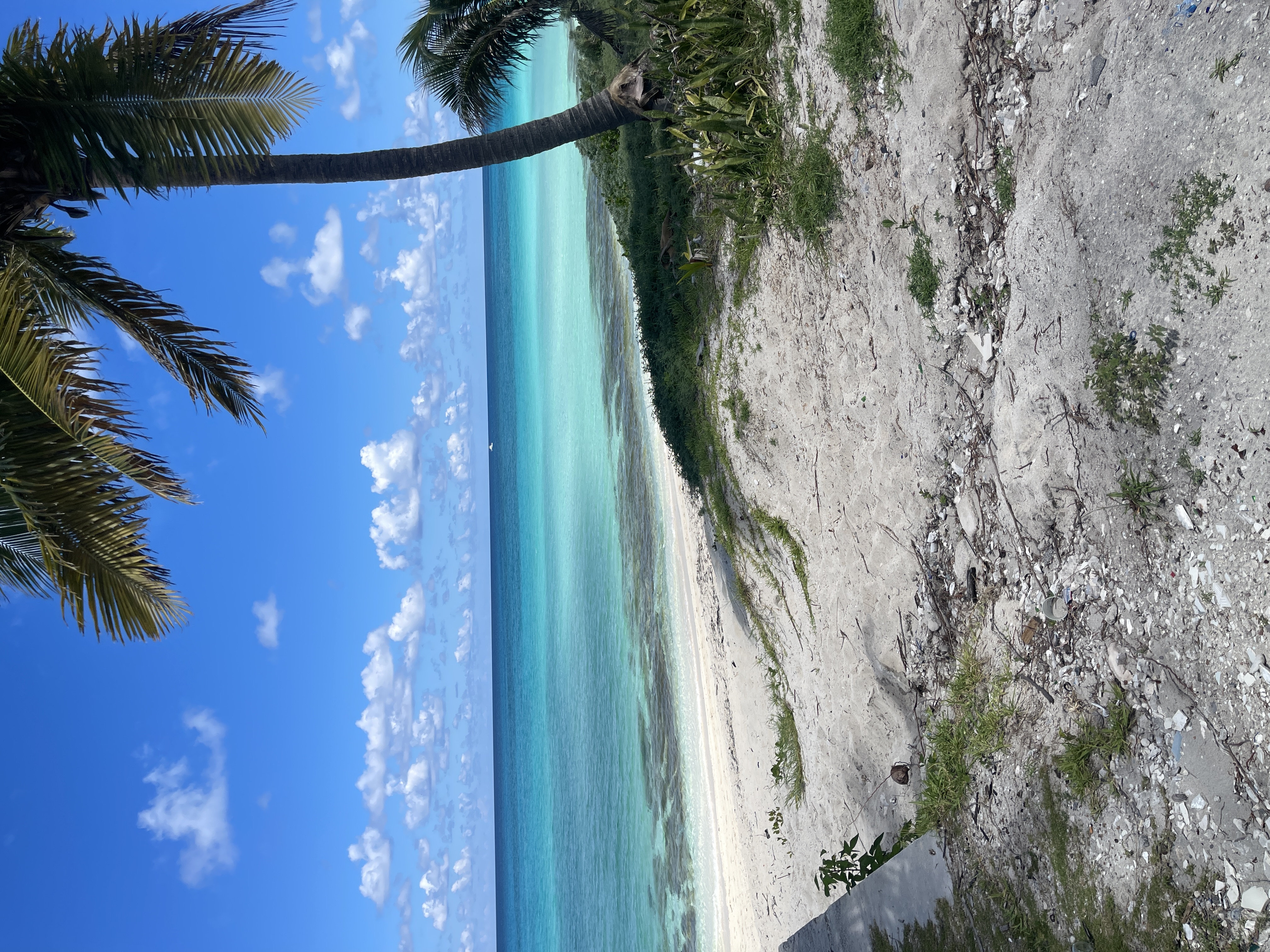 Cruise Brothers Travel Agent LEROYAL SPENCER